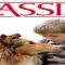 فيلم Lassie 2005 مترجم اون لاين