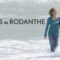 مشاهدة فيلم Nights in Rodanthe 2008 مترجم ماي سيما