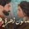 مسلسل صالون زهرة 2 الحلقة 8 الثامنة ماي سيما