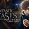 مشاهدة فيلم Fantastic Beasts and Where to Find Them 1 2016 مترجم ماي سيما