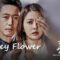 مسلسل Money Flower الحلقة 3 مترجمة