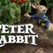 مشاهدة فيلم Peter Rabbit 1 2018 مترجم ماي سيما