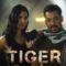 مشاهدة فيلم Tiger 3 2023 مدبلج ماي سيما